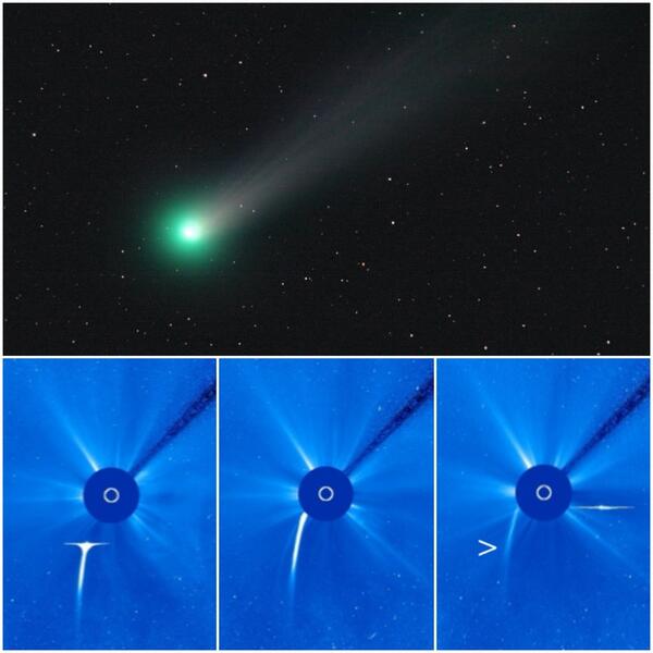 SunViewer's tweet image. #Comet Lovejoy, also known as the one who lost its tail, can be seen fairly well through telescopes (By H. Koberger)
