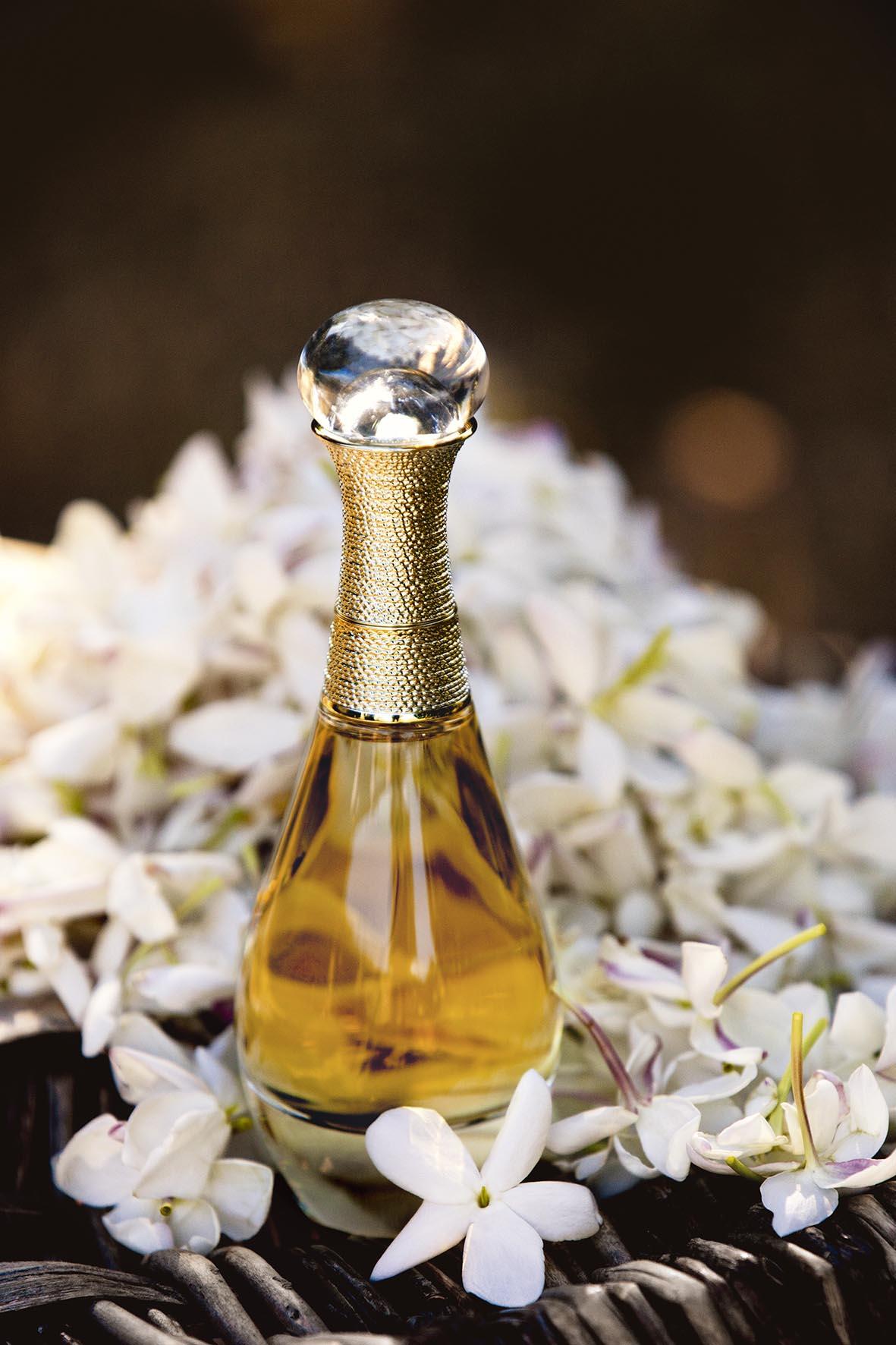 Dior on X Follow the fragrance trail of J adore from Grasse the place where it all begins. http t dsr7GSH6Ns Dior http t R0Eeb42ndY X