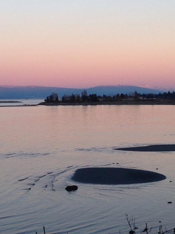 RT <a href="/ParadiseFunPark/">Paradise Fun Park</a>: Living in Paradise, Parksville BC -Stay at Paradise Sea Shell Motel and take a walk on the beach