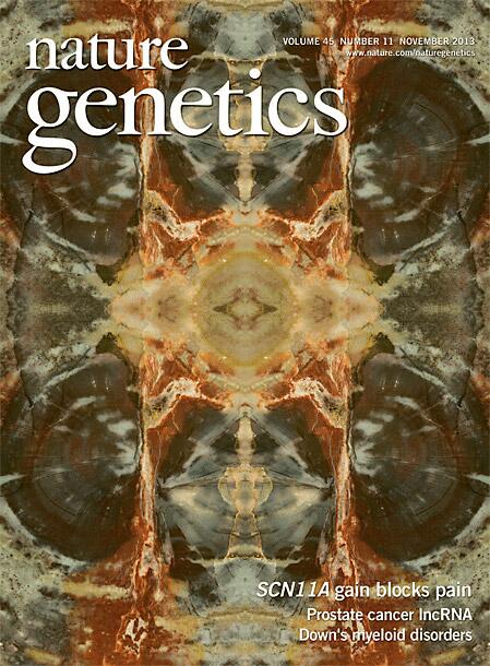 eoartlab's tweet image. George Fellner's Quantum Reality adorns the November 2013 cover of Nature Genetics!!!!  nature.com/ng/journal/v45…