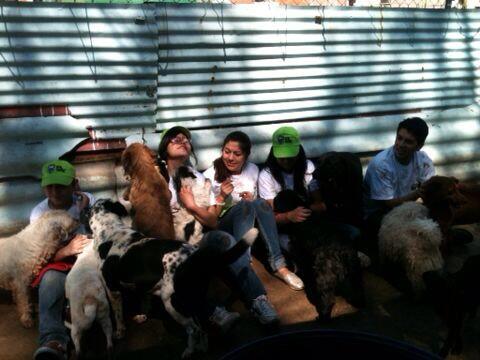 <a href="/AdoptaMx/">Adopta Mx (México)</a> #DomingoDeVoluntariado 😃
1 de Diciembre 9 am en el AlbergueCEI #Atizapán #Edomex 
#Adopta 🐶
#Rt 👍