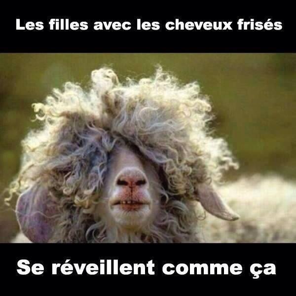 HumourDeJeune_'s tweet photo. C'est pas trop chiant ?? http://t.co/GkJZz0CVIf