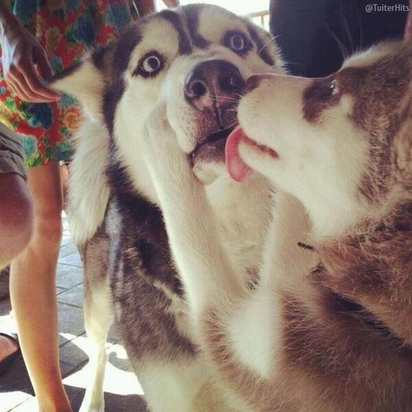 TuiterHits's tweet photo. Ese momento incómodo cuando tu novia te besa frente a sus padres. http://t.co/Mbfmlyr5be