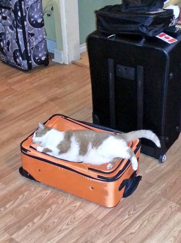 billbond360's tweet photo. Goin' on a trip? Not without me! http://t.co/kB6Zv63N4t