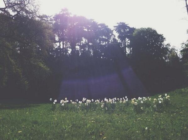 wowander's tweet image. 