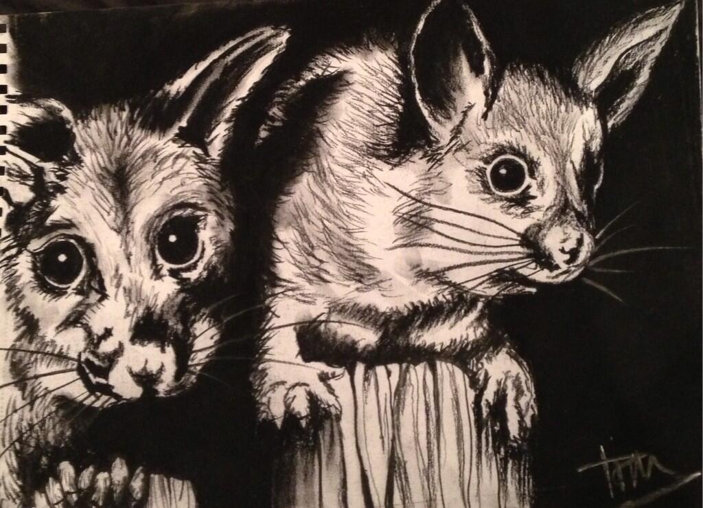 BaCi9k-CQAAeI8D.jpg:large