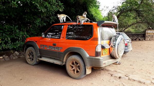 <a href="/TheGreatRun/">TheGreatRun</a> 4×4 will take place on the 30th November and 1st December 2013 bit.ly/18nfTrT