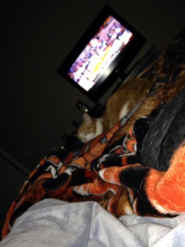 Nathan3Thomas's tweet image. @ashhh_xp #catflow