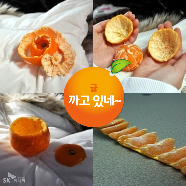 트친 여러분! 귤 좋아하세요? 요즘 귤 맛이 뀰맛이더라고요~ 귤 까느라 손이 노~랗게 물 들었지만... 귤까기 '신'이 되기 위해 연습 또 연습! 과연 트친 여러분의 '귤까기' 실력은?!