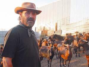 FernandoDCanto's tweet photo. Periodista- ¿Adora al dinero?
El Cabrero- No lo adoro, lo cambio por lo que me cuesta vivir. http://t.co/k9Fa9Vlke3