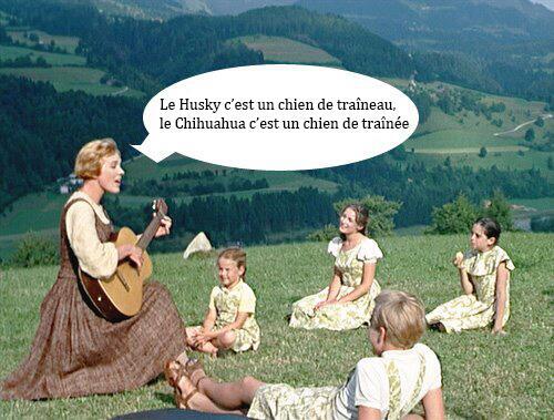La sagesse de Seth Gueko "<a href="/choucroutgarnie/">ChoucrouteGarnie.fr</a>: Proverbe du jour. "