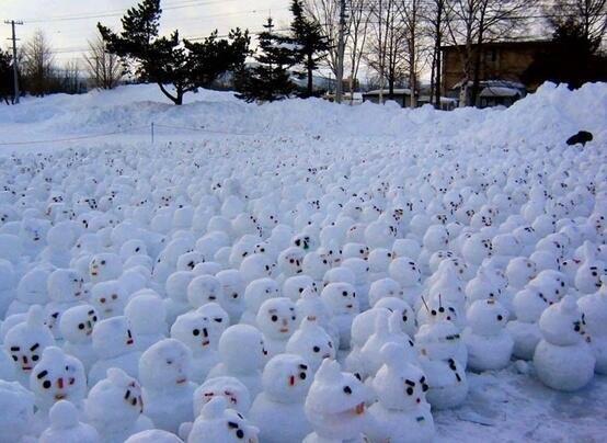 Snow Man Army, Canada