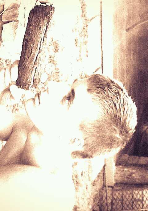 stonewood60's tweet photo. Alwsome days at the farm http://t.co/7FRkmCeDQW