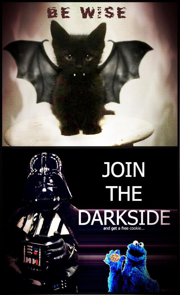 SamiraChouadria's tweet photo. May the Force be with you... never on an empty stomach huhuh http://t.co/VKYaFU0W42