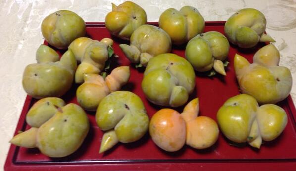 Embedded image permalink