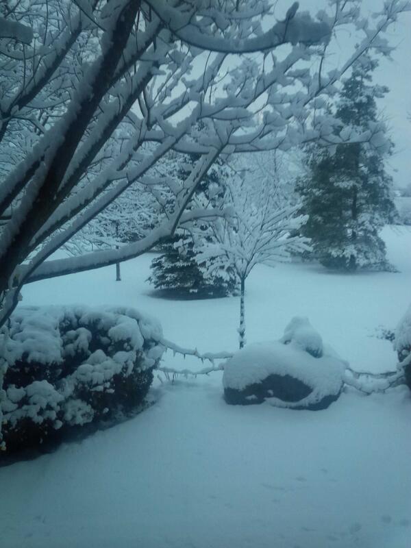 pinecrestgolf's tweet photo. Wednesday November 27 2013 http://t.co/7Mr2MrCYXM