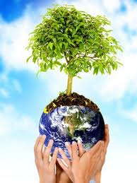 YismeiryMMA's tweet photo. Cuidemos el medio ambiente http://t.co/BcTEsFx4S8
