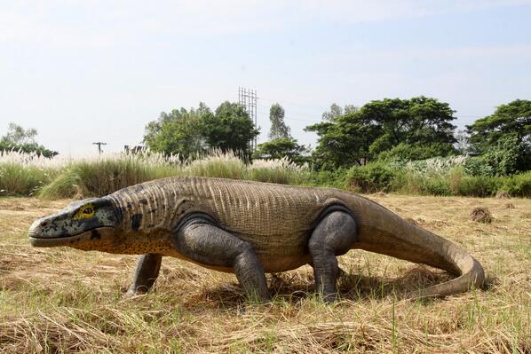 komodo dragon vs crocodile