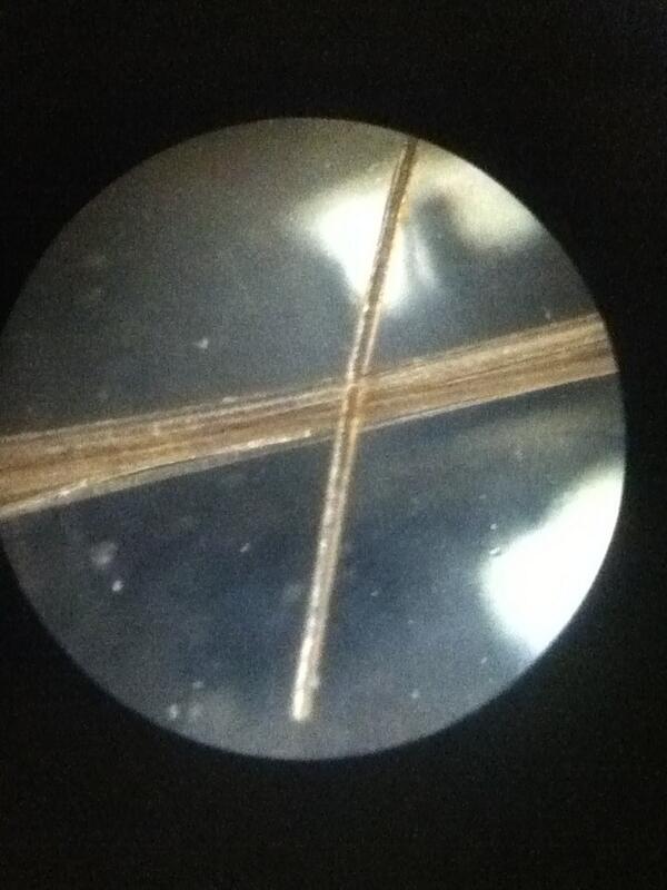 Science_Guy68 tweet picture