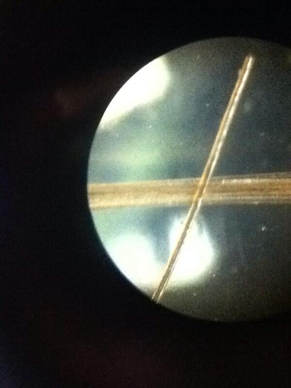 SnapScience's tweet photo. #lkdsbscience @mraspinall @ICRPS_Sundevils Austin hair sweet http://t.co/RPVLzaRzae