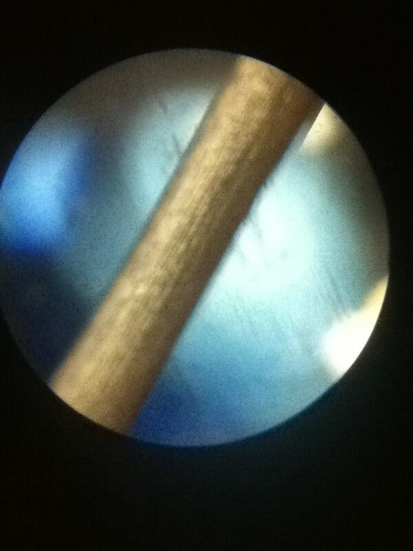 Science_Guy68 tweet picture