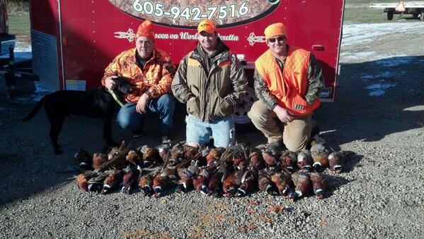 DHale_55's tweet photo. The first day. 2 hours of hunting, 33 birds. 7 guys.  #roosterrush #southdakota @SDOutdoors @pheasants4ever http://t.co/QmJVMw1gTp