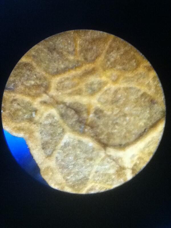 Science_Guy68 tweet picture
