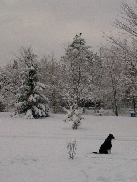 Bre_Mills's tweet photo. Woke up to this #winterwonderland http://t.co/DIDCbwQg2h