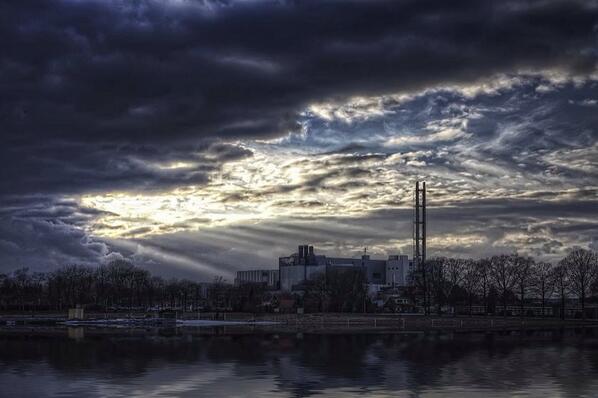 #frieslandcampina #domo #borculo prachtig plaatje!