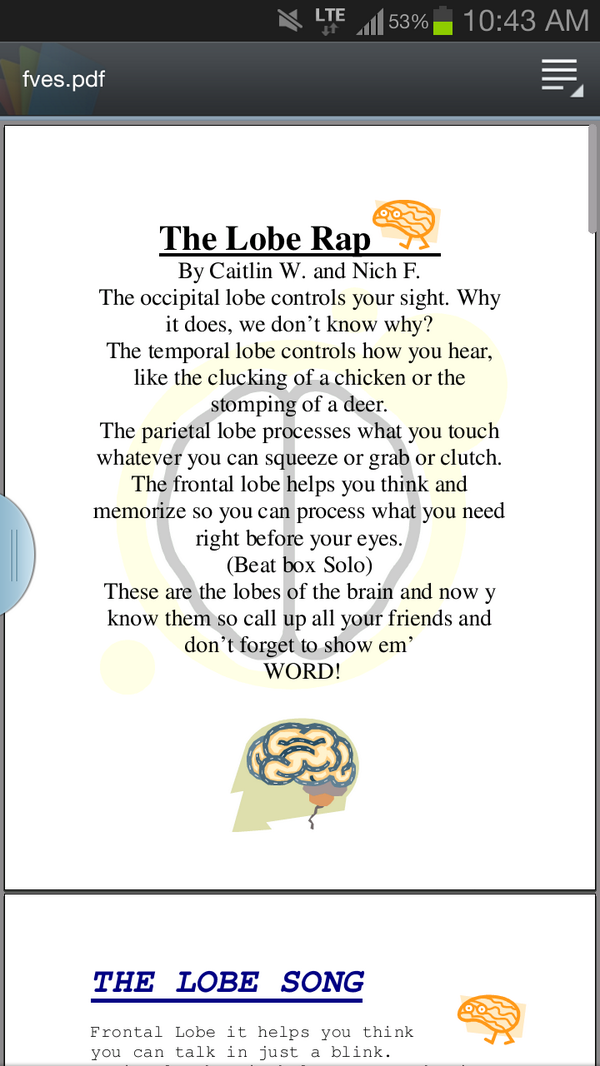 jughead8's tweet photo. This is my allegory for the parietal lobe. Group three. @MrMuthsClass http://t.co/7zr4OOxOjw