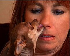SonjatMorgan tweet picture