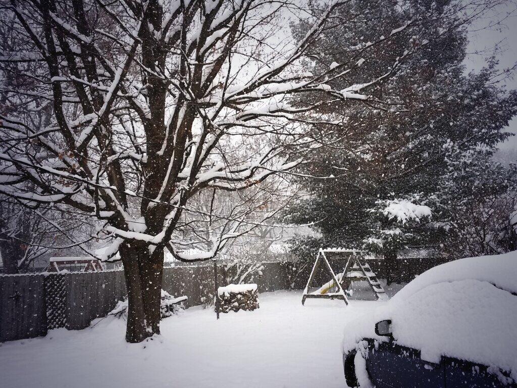 Embedded image permalink