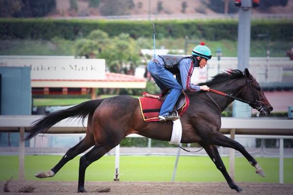 James Cassidy Racing (@JamesCassidyNY) Twitter James Cassidy Racing (@JamesCassidyNY) Twitter