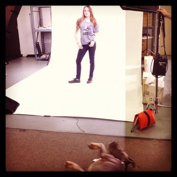 cesarmillan's tweet photo. Junior wants to be in the Bark and Bones shoot! #barkandbones #comingsoon #limitededition http://t.co/L3OxRYViXS