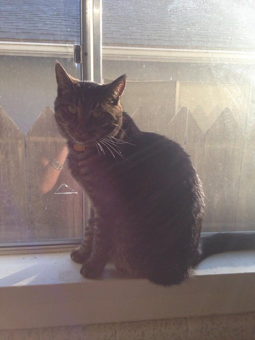 My baby soakin up this December sunshine http://t.co/yPbQ1sg10u<a href="/tag/california"class="tags"><span>#california</span></a>