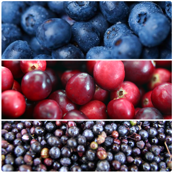 OlympicNE's tweet photo. Top 5 Superfoods You Should Be Eating Everyday ---> http://t.co/fsYeHgF7gQ #superfoods #nutrition http://t.co/uTspzQvjhA