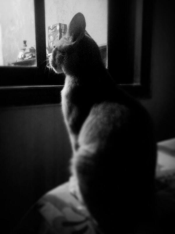 Nyit2 is looking something strange