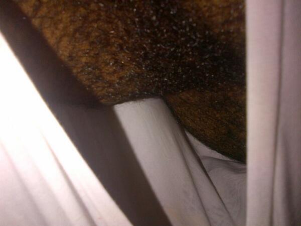 MOBADL (@mobadl_28) | Twitter