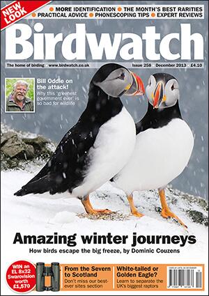 Birdwatch tweet media
