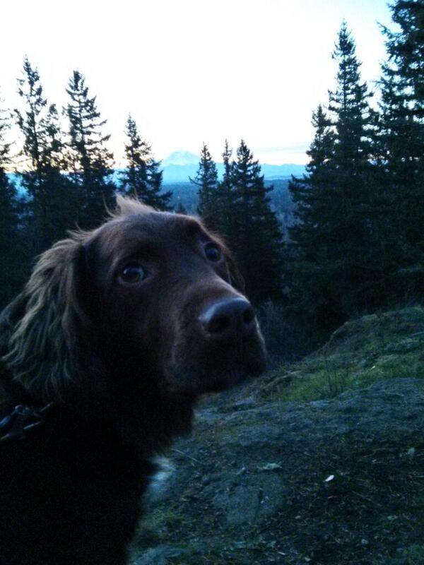 lisaroxanne's tweet photo. I love my Daisy! http://t.co/XUreVMtT9k