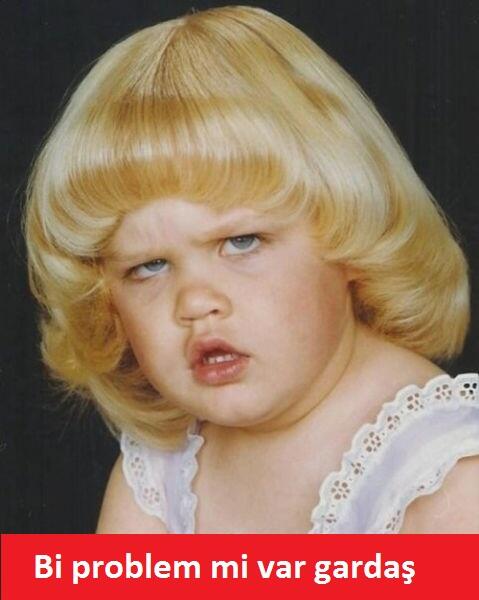 Gömülü resim için kalıcı bağlantı