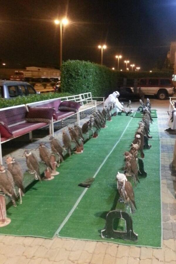 q8_falconry's tweet photo. اجواءنا الآن بالمكتب http://t.co/f4dTK2hspT