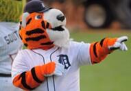 Sports_Mascots's tweet photo. Paws- Detroit Tigers http://t.co/i0vHQDg89c
