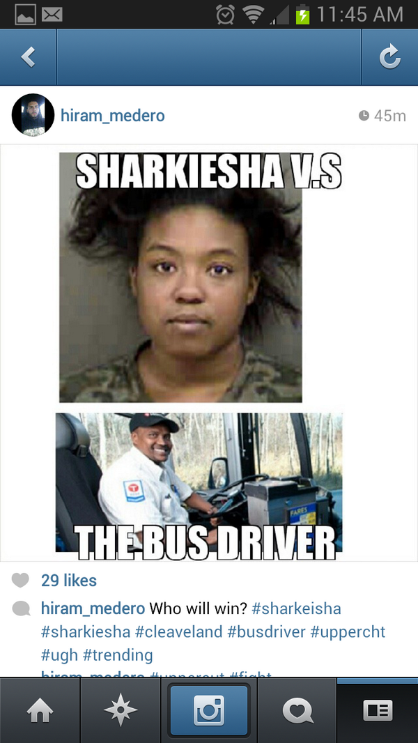 JakeHunter88's tweet image. #Sharkeisha #sharkvs #thebusdriver