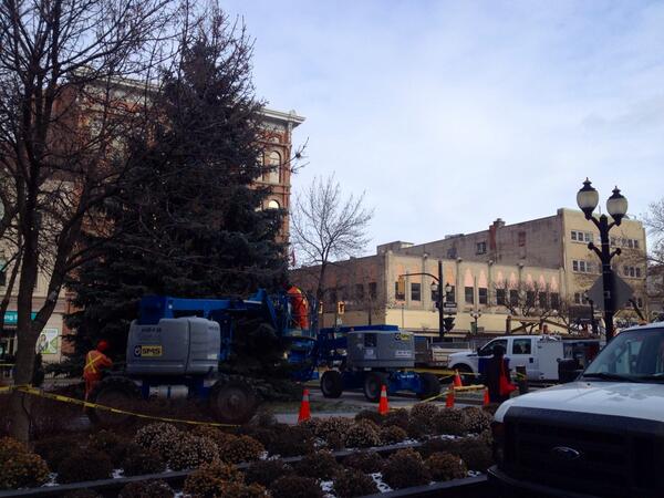 WalkBug's tweet image. Holiday season in #HamOnt! Workers busy prettying up the Gore. Looking good, @cityofhamilton!