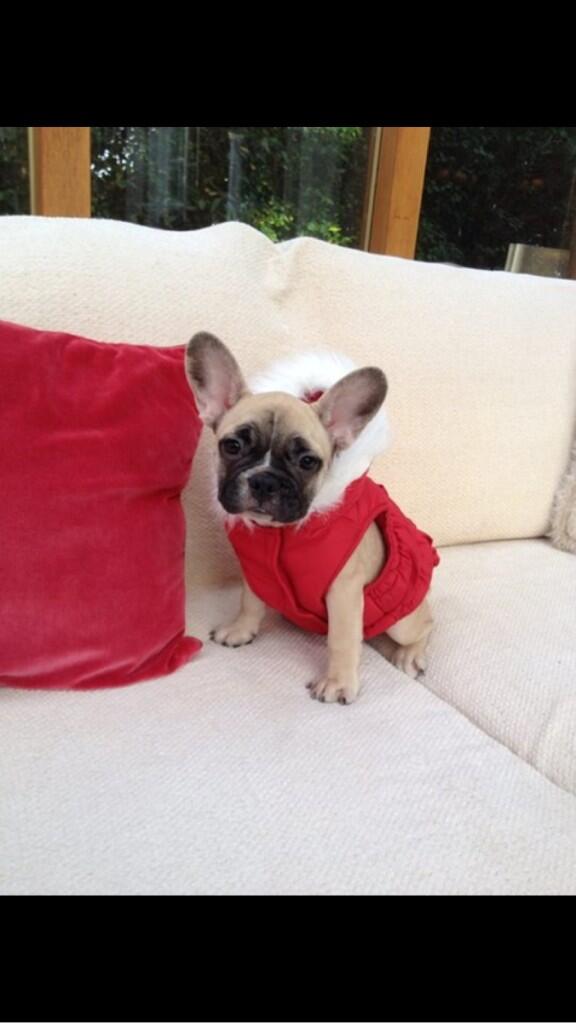 MissFerney's tweet photo. I 💗 Matilda http://t.co/q6lNVS2faz