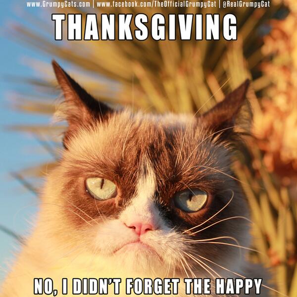 Excited Grumpy Cat