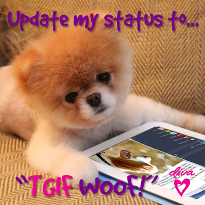 divaaccessories's tweet photo. T.G.I.F #diva #divaaccessories #HappyFriday http://t.co/OjjgbBxYY5