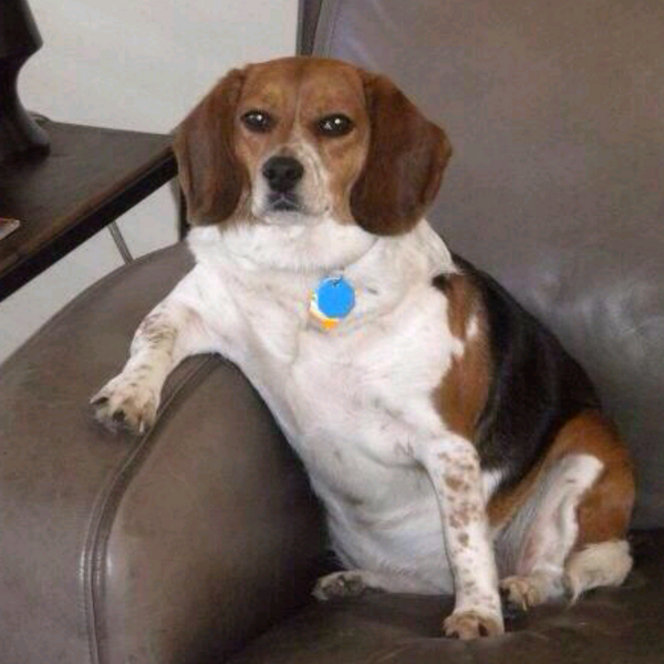 madisonfalse's tweet image. Do you know what time it is young lady