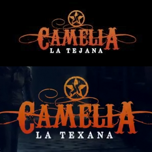 Camelia, La Texana (Telemundo-Argos, 2014) BaMTlxICQAAH_30